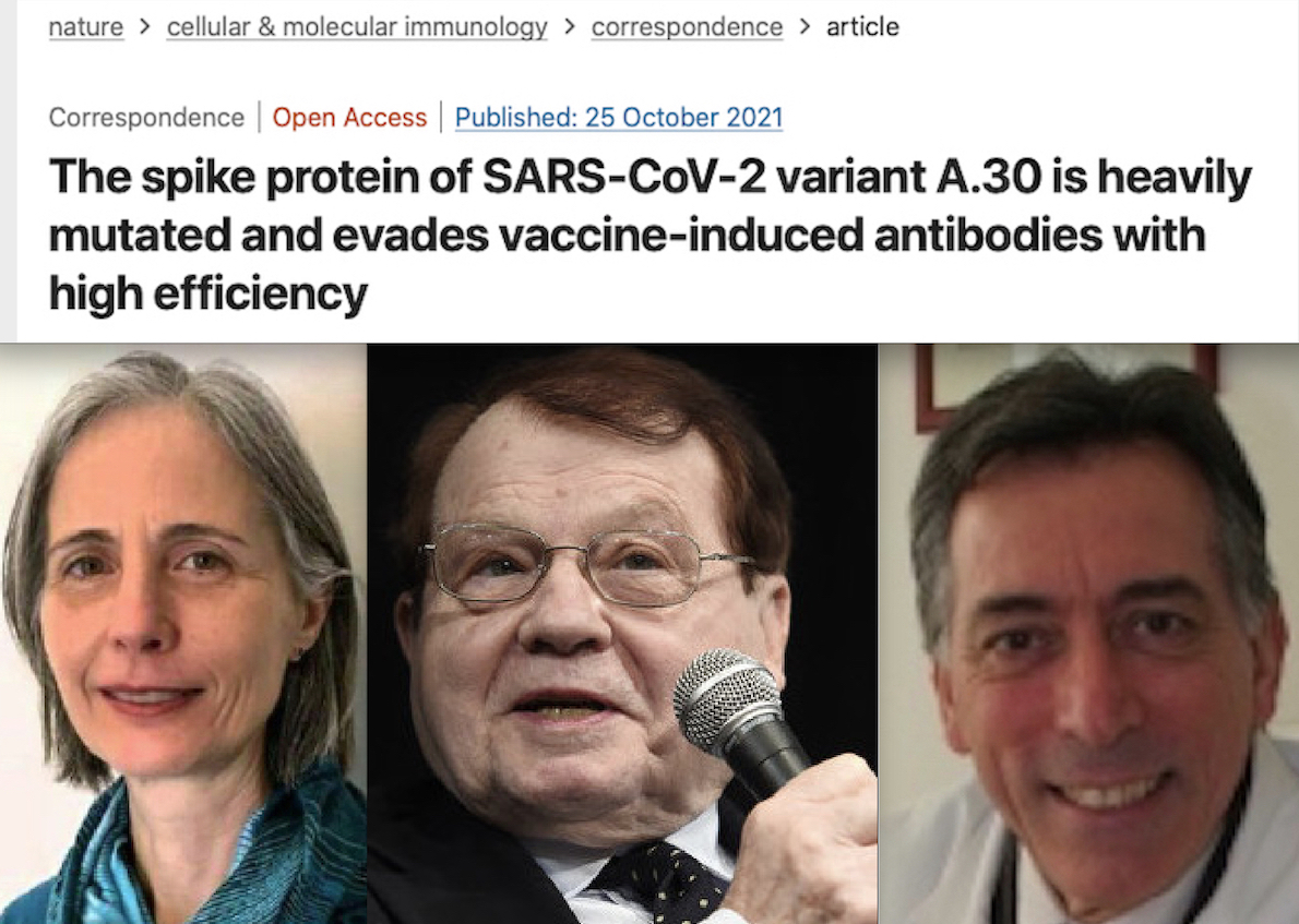 “VARIANTE SARS-COV-2 ELUDE ANTICORPI DA VACCINI”. Studio Shock di 14 Scienziati Tedeschi conferma SOS di Bolgan, Montagnier e Trinca: “Virus più Contagioso”.