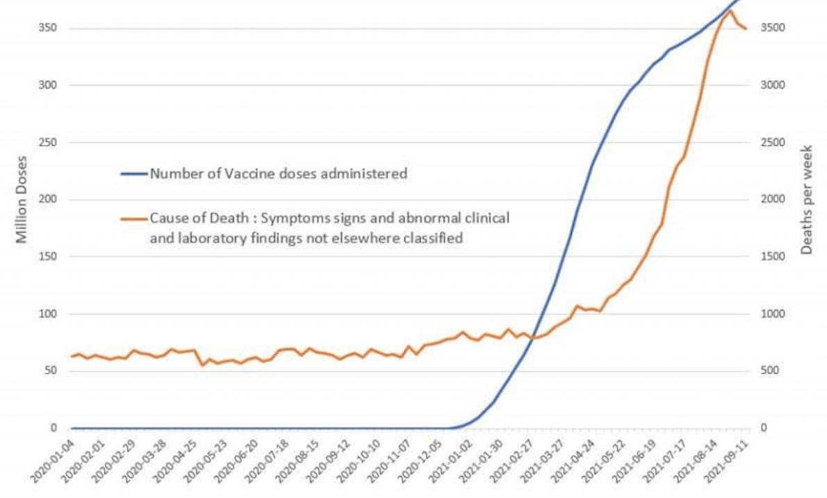 MORTI DOPO VACCINI NEGLI USA: AUMENTO DEL 600 % DI DECESSI PER CAUSE MISTERIOSE. Dati Shock dai CDC