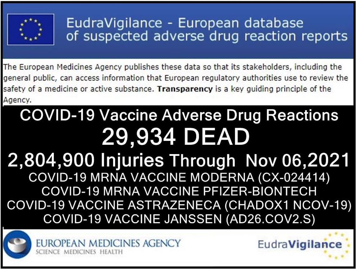 RAPPORTO EUDRAVIGILANCE: QUASI 30MILA MORTI DOPO I VACCINI. Oltre 1 Milione di Sospette Reazioni Avverse Gravi