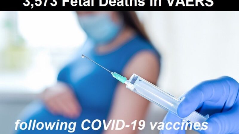 VACCINI SARS-2 IN GRAVIDANZA: STRAGE DEGLI INNOCENTI. Negli USA già 3.573 Feti Morti: +1.867% rispetto a Sieri Non-COVID