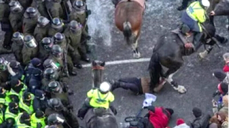 CANADA: POLIZIA COME BARBARI MEDIEVALI! (Video) Al Freedom Convoy Disabile con Girello Calpestata dai Cavalli