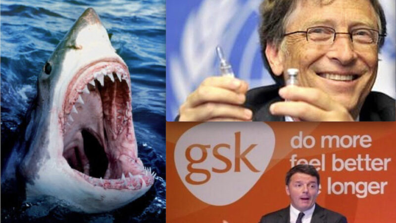 PERICOLOSI SIERI COVID GSK DAGLI SQUALI. Rischio Narcolessia con Additivo della “Regina Nera” Big Pharma. Protetta da Gates, Pentagono e PD