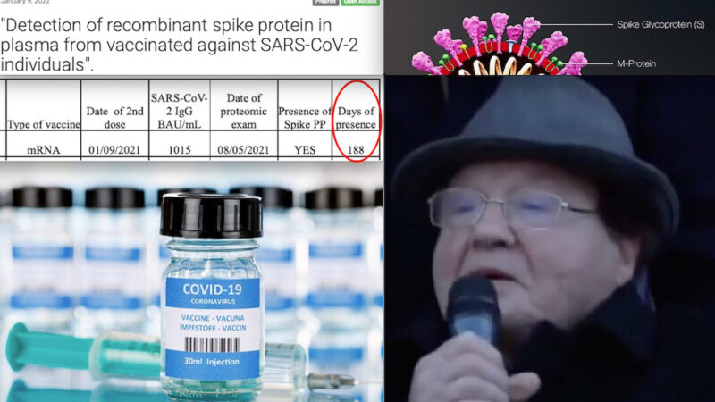 Clamoroso Studio! SPIKE DA VACCINI COVID FINO A 6 MESI NEL SANGUE. “Proteina Tossica” secondo Montagnier e Altri Medici