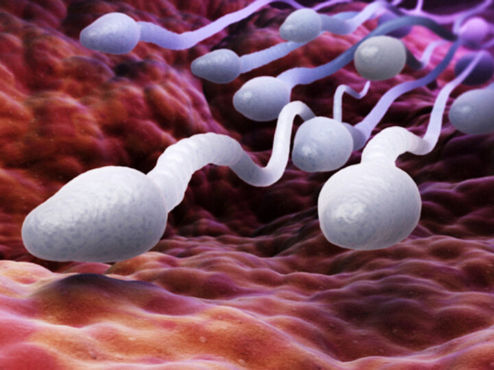 PROVE DI DEPOPOLAMENTO CONTROLLATO: Vaccino antiCovid Pfizer riduce “Temporaneamente” gli Spermatozoi