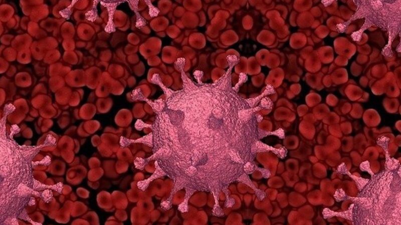 ALLARME DI “NATURE” SUI COAGULI DI SANGUE IN LONG-COVID. Ma Ignora Studio sulle Correlazioni Letali coi Vaccini