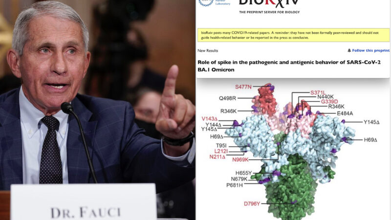 WUHAN-GATES 60 – NUOVO SARS-COV-2 ASSAI LETALE CREATO IN LABORATORIO DA FAUCI. “Folle Esperimento” a Boston con Virus Chimera Omicron