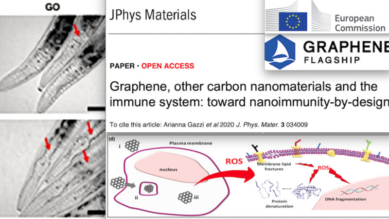 VACCINI & GRAFENE – 7. Folle Progetto UE con NanoParticelle per un’Immunità “Transumanista”: Rischi Tumori come nei Sieri Covid