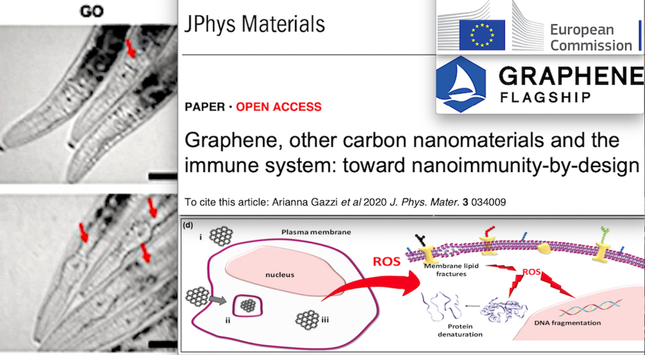 VACCINI & GRAFENE – 7. Folle Progetto UE con NanoParticelle per un’Immunità “Transumanista”: Rischi Tumori come nei Sieri Covid