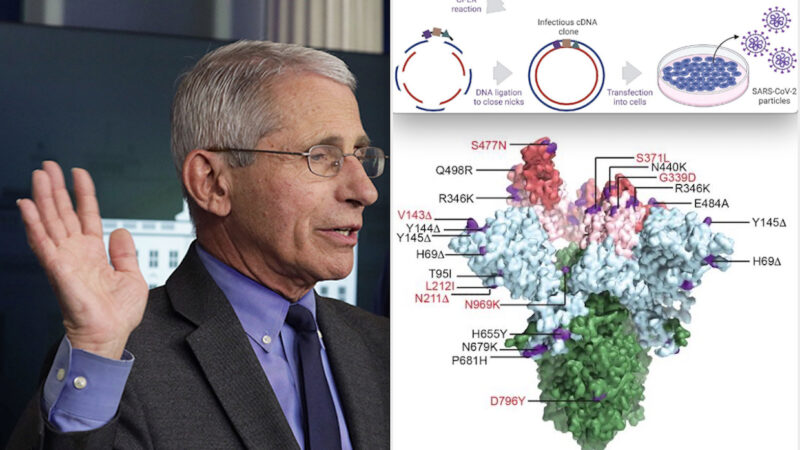 NUOVA VARIANTE DI OMICRON NEGLI USA ORA DENOMINATA “KRAKEN”. Genotipo dell’Ultimo virus SARS Costruito da Fauci per Vendere più Vaccini?