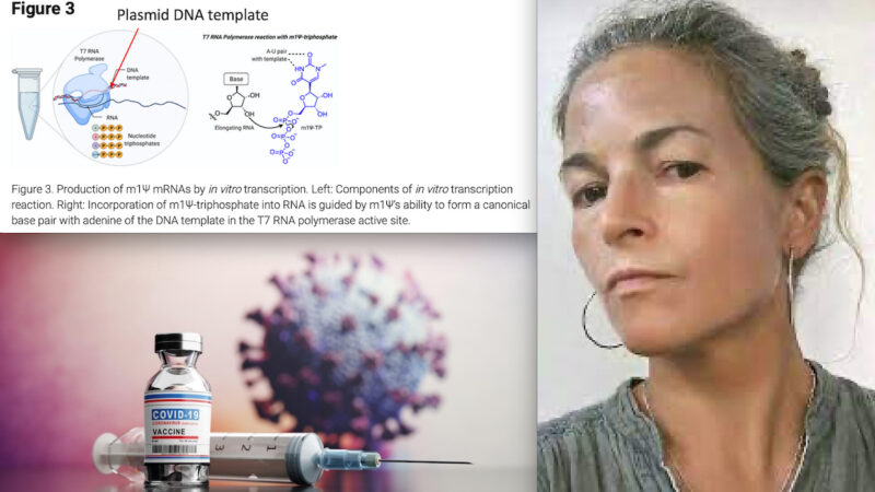 NEI VACCINI COVID MILIARDI DI MOLECOLE DI DNA SPIKE. Riproducono la Proteina Tossica del SARS-Cov-2 a Lungo Termine