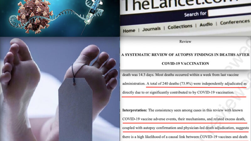 VACCINI COVID KILLER: CONFERMA DA 325 AUTOPSIE. 74% di Correlazioni in uno Studio Lancet poi Censurato