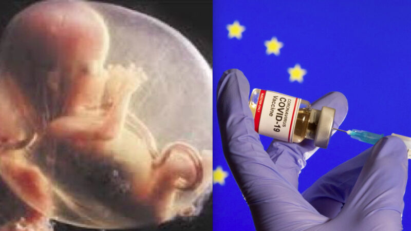 X TAVOLA DI ASSISI: LA GRANDE ASSENTE. Affari Big Pharma sui Feti Abortiti approvati dall’UE ma ignorati dai Cristiani