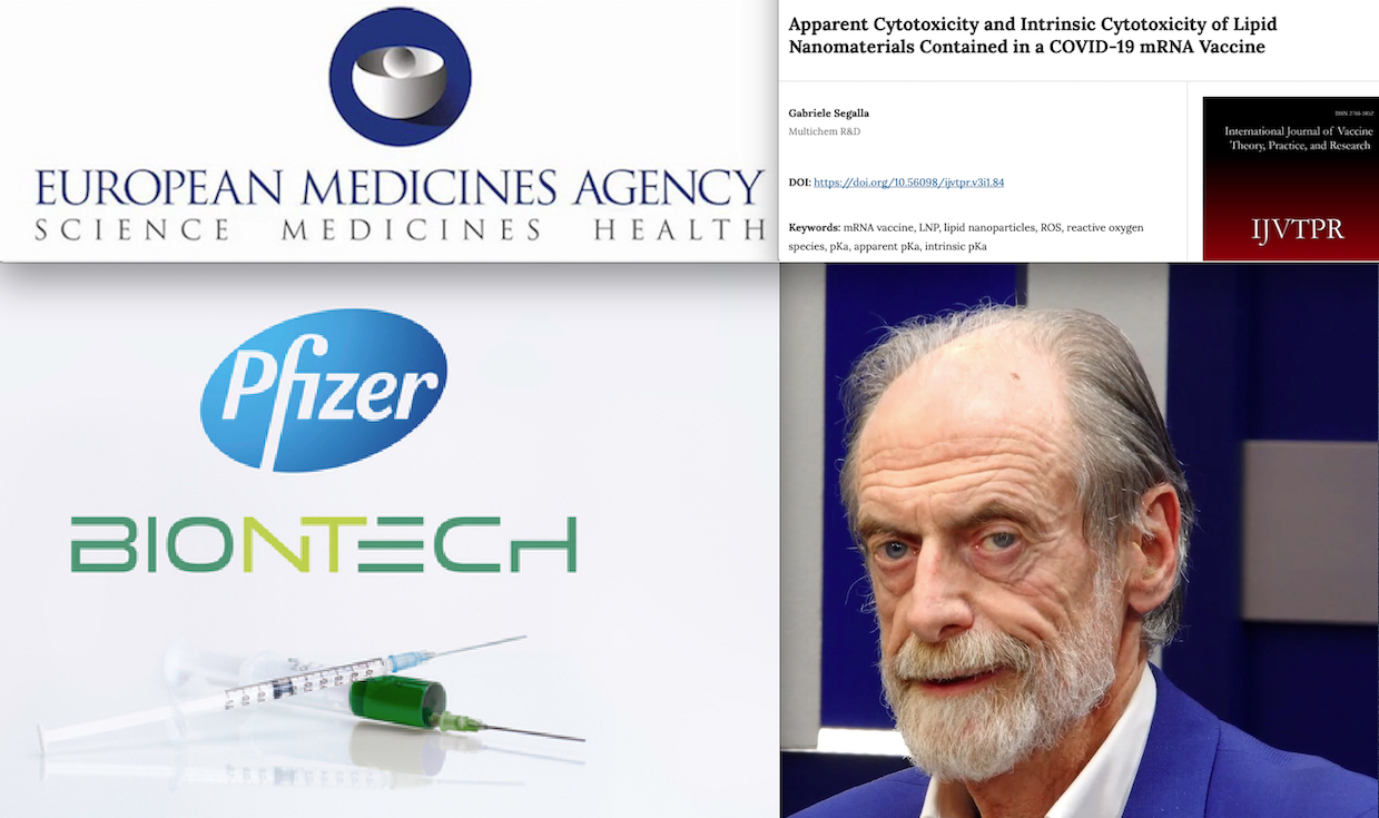 “EMA CONOSCEVA LA TOSSICITA’ DEL VACCINO COVID PFIZER-BIONTECH”. Nuovo Studio Esplosivo del Chimico Segalla sulle Nanoparticelle Pericolose dei Sieri mRNA