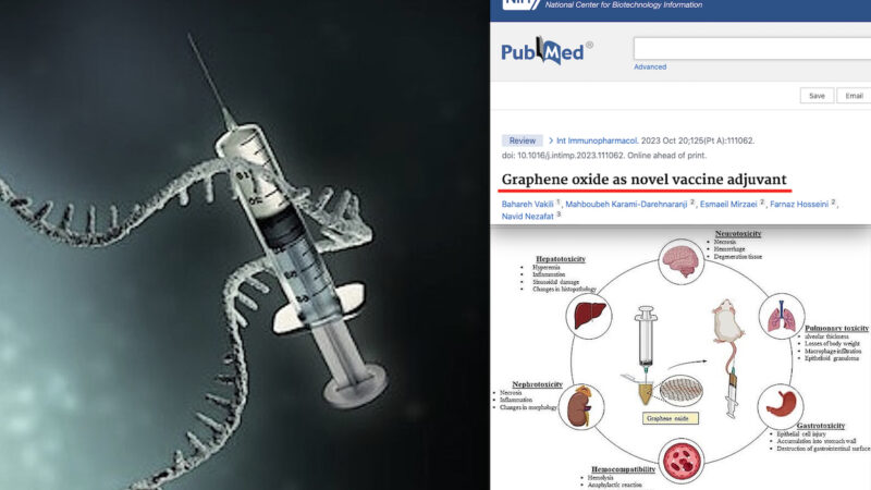 VACCINI & GRAFENE – 10. Nanomateriale come Adiuvante nei Sieri Genici nonostante Gravissime Tossicità per Cervello, Fegato, Reni e Sangue