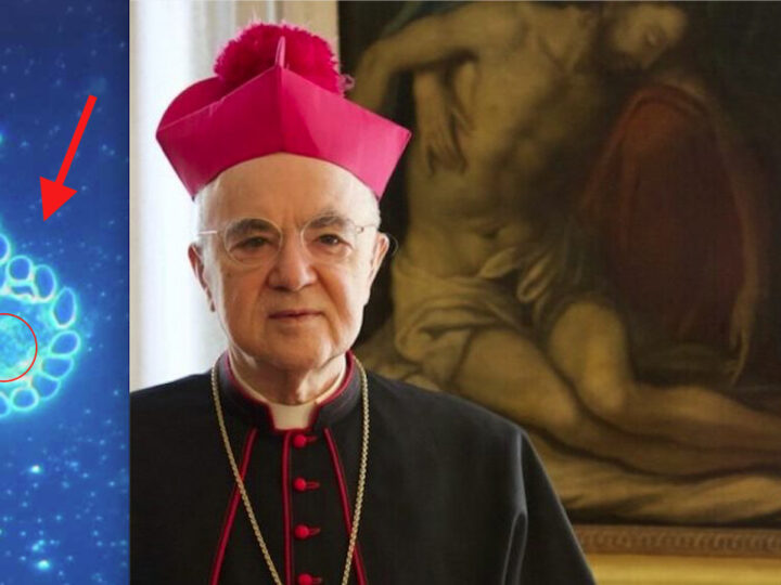 VACCINI & GRAFENE – 12. Arcivescovo VIGANÒ: “NanoTubi per Controllare l’Umanità. Test per il Nuovo Ordine Mondiale di Satana”