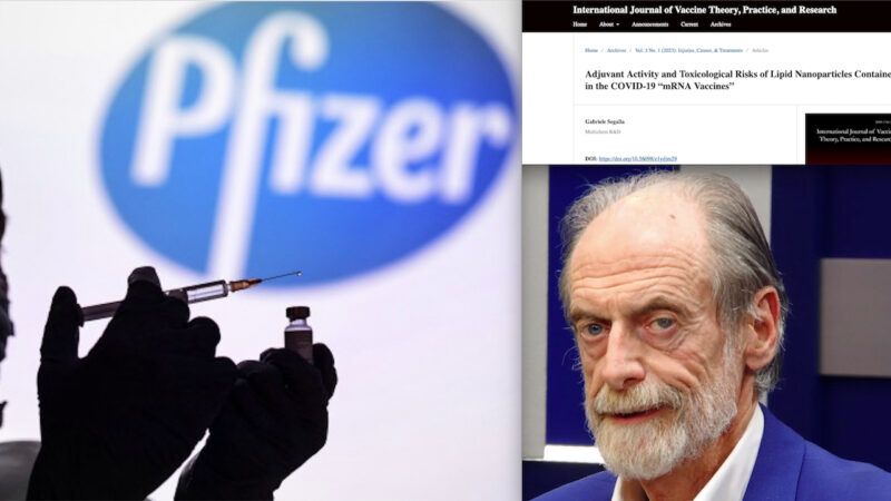 ADIUVANTI TOSSICI CELATI NEI VACCINI PFIZER SOTTO IL NASO DI EMA. Terza Ricerca Esplosiva del Biochimico Segalla per l’Anniversario Pandemia