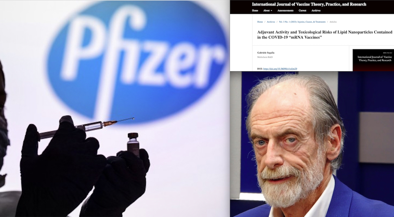 ADIUVANTI TOSSICI CELATI NEI VACCINI PFIZER SOTTO IL NASO DI EMA (video). Terza Ricerca Esplosiva del Biochimico Segalla per l’Anniversario Pandemia