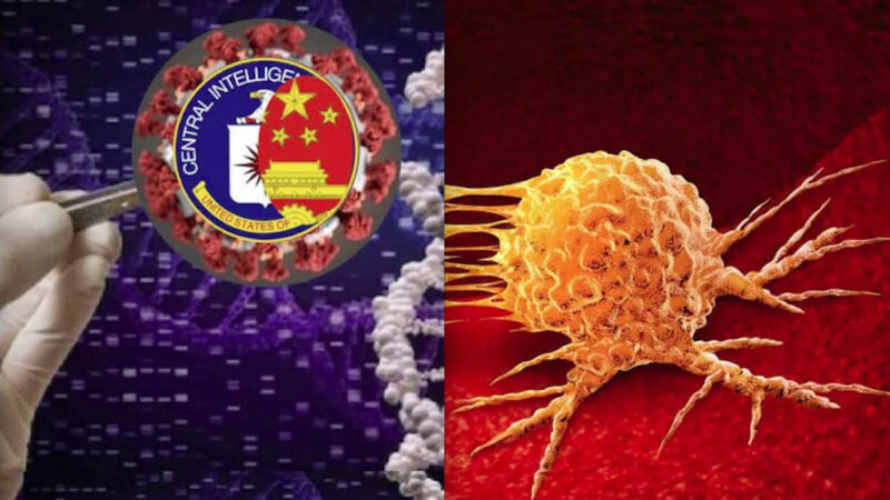 WUHAN-GATES 80. SPIKE DEL SARS-COV-2 DA LABORATORIO PROMUOVE IL CANCRO. Stesso SOS nei Vaccini! Per Business Big Pharma