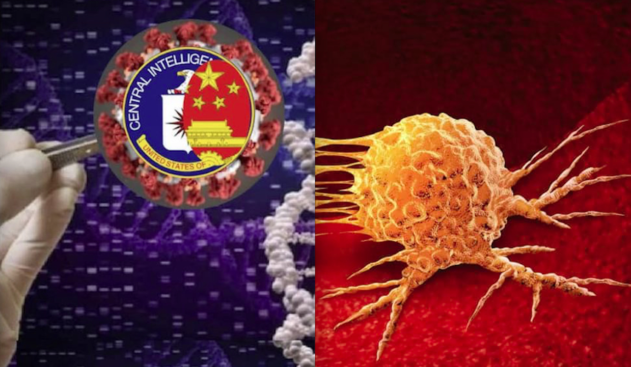 WUHAN-GATES 80. SPIKE DEL SARS-COV-2 DA LABORATORIO PROMUOVE IL CANCRO. Stesso SOS nei Vaccini! Per Business Big Pharma