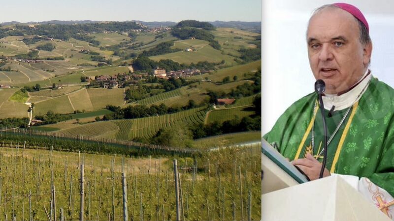 SCANDALO CAPORALATO PURE TRA LE VIGNE DEL NOBILE BAROLO. Vescovo di Alba Condanna la Sfruttamento dei Migranti di “Poche” Cantine di Langa