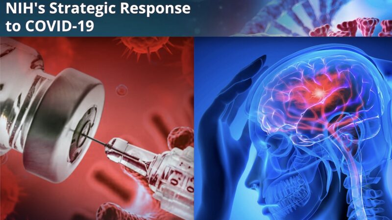 850 RICERCHE SUI DANNI DA VACCINI COVID OCCULTATE DAL GOVERNO USA. Note dal Gennaio 2022 al Dipartimento della Salute che non fece NULLA!