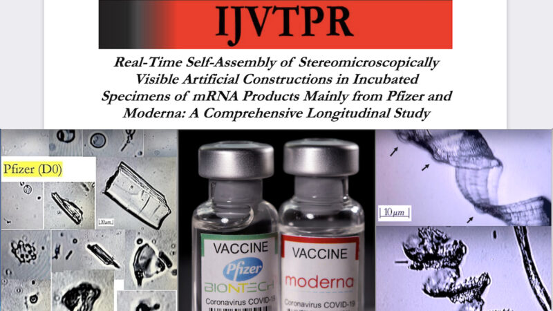 VACCINI & GRAFENE – 13. Studio ORRIFICO: Nanotubi in Pfizer e Moderna NOCIVI per Sangue e Sperma. Reattivi come ROBOT a Onde ElettroMagnetiche